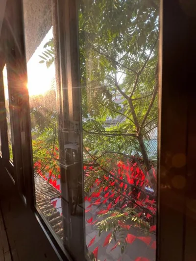 Heart of Quarter Balcony, Projector2 – Photos 7